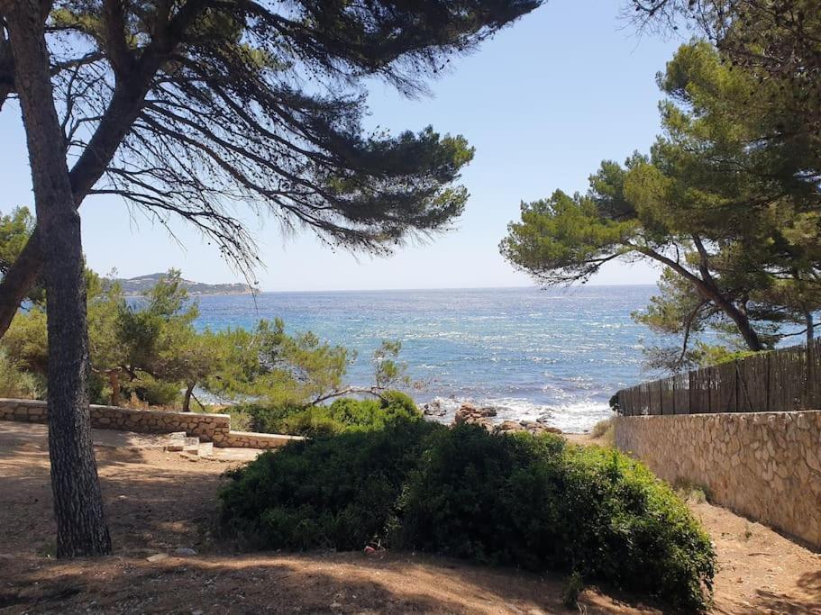 Les Geraniums, Bel Appartement Renove, Proche Plage Et Commerces La Seyne-sur-Mer Buitenkant foto